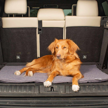 Embark on the perfect pet travel with our luxury Travel Mat in Oxford Herringbone. Featuring a Carry handle for on the move once Rolled up for easy storage, can be used as a seat cover, boot mat or travel bed! Available now at Lords & Labradors US
