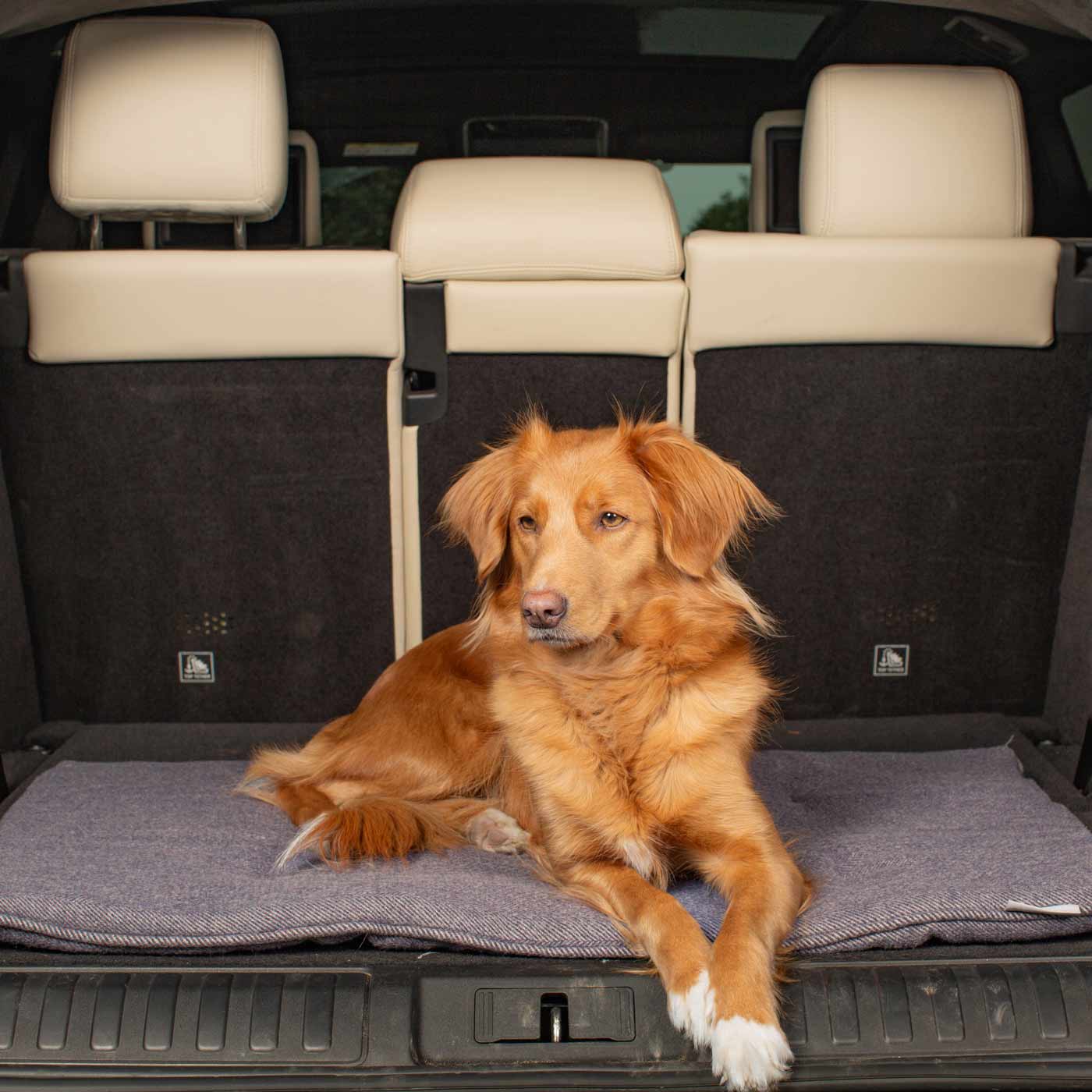 Embark on the perfect pet travel with our luxury Travel Mat in Oxford Herringbone. Featuring a Carry handle for on the move once Rolled up for easy storage, can be used as a seat cover, boot mat or travel bed! Available now at Lords & Labradors US