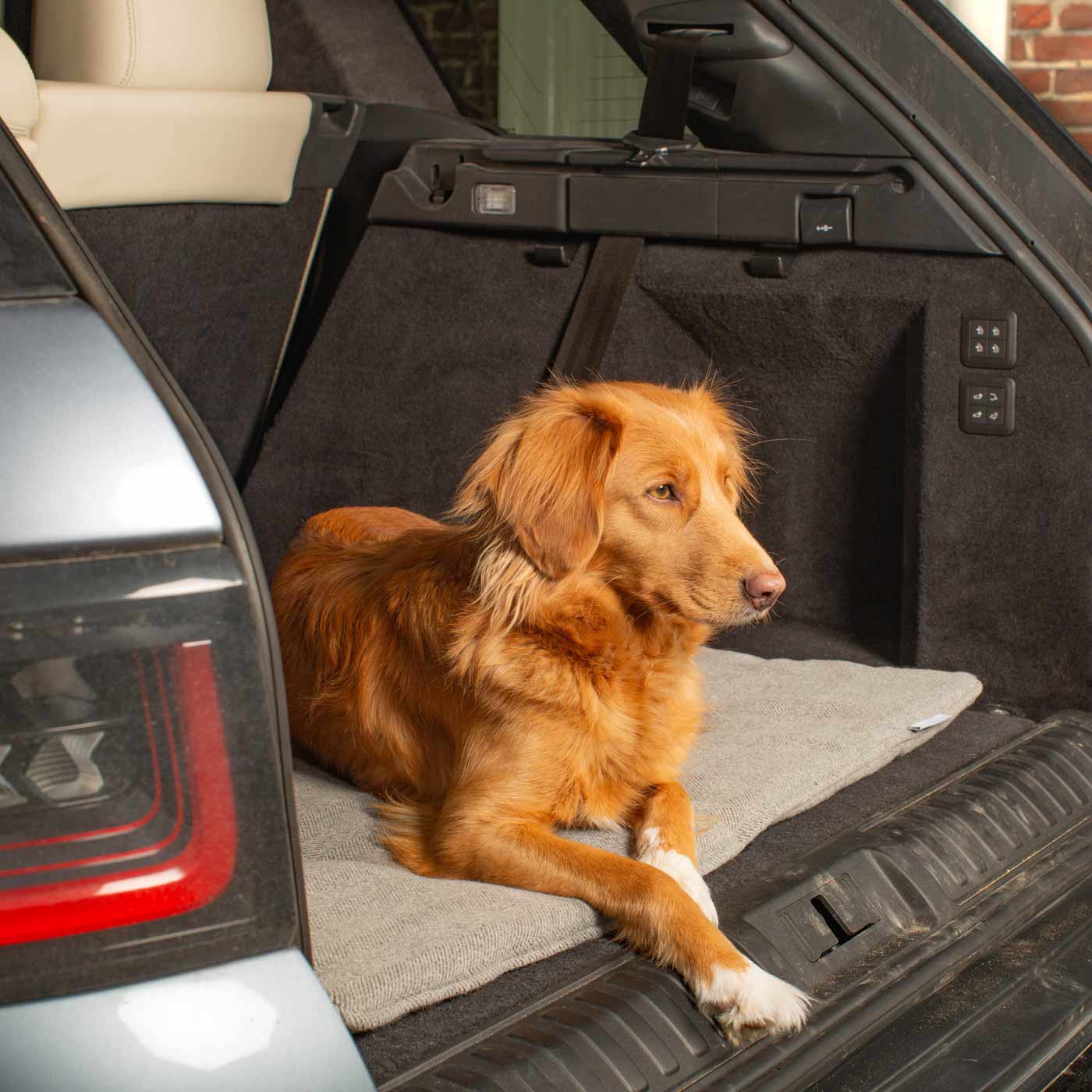 Embark on the perfect pet travel with our luxury Travel Mat in Pewter Herringbone. Featuring a Carry handle for on the move once Rolled up for easy storage, can be used as a seat cover, boot mat or travel bed! Available now at Lords & Labradors US