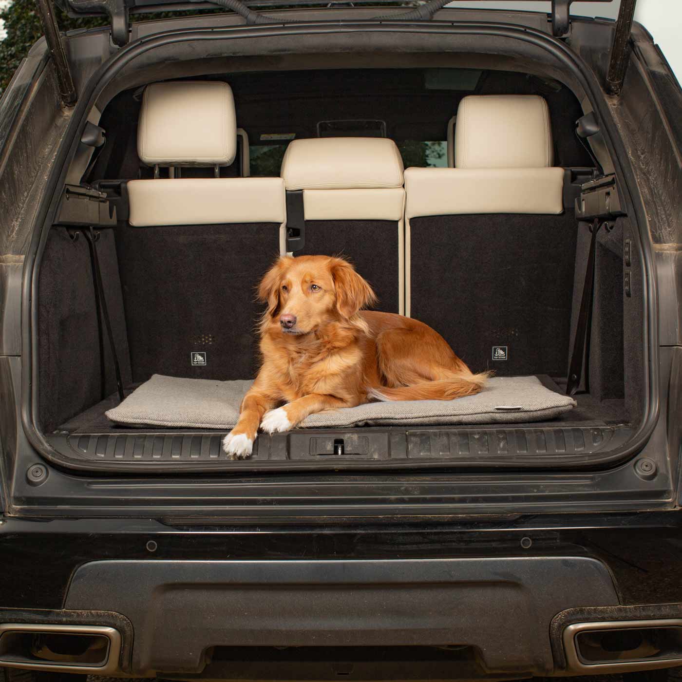 Embark on the perfect pet travel with our luxury Travel Mat in Pewter Herringbone. Featuring a Carry handle for on the move once Rolled up for easy storage, can be used as a seat cover, boot mat or travel bed! Available now at Lords & Labradors US