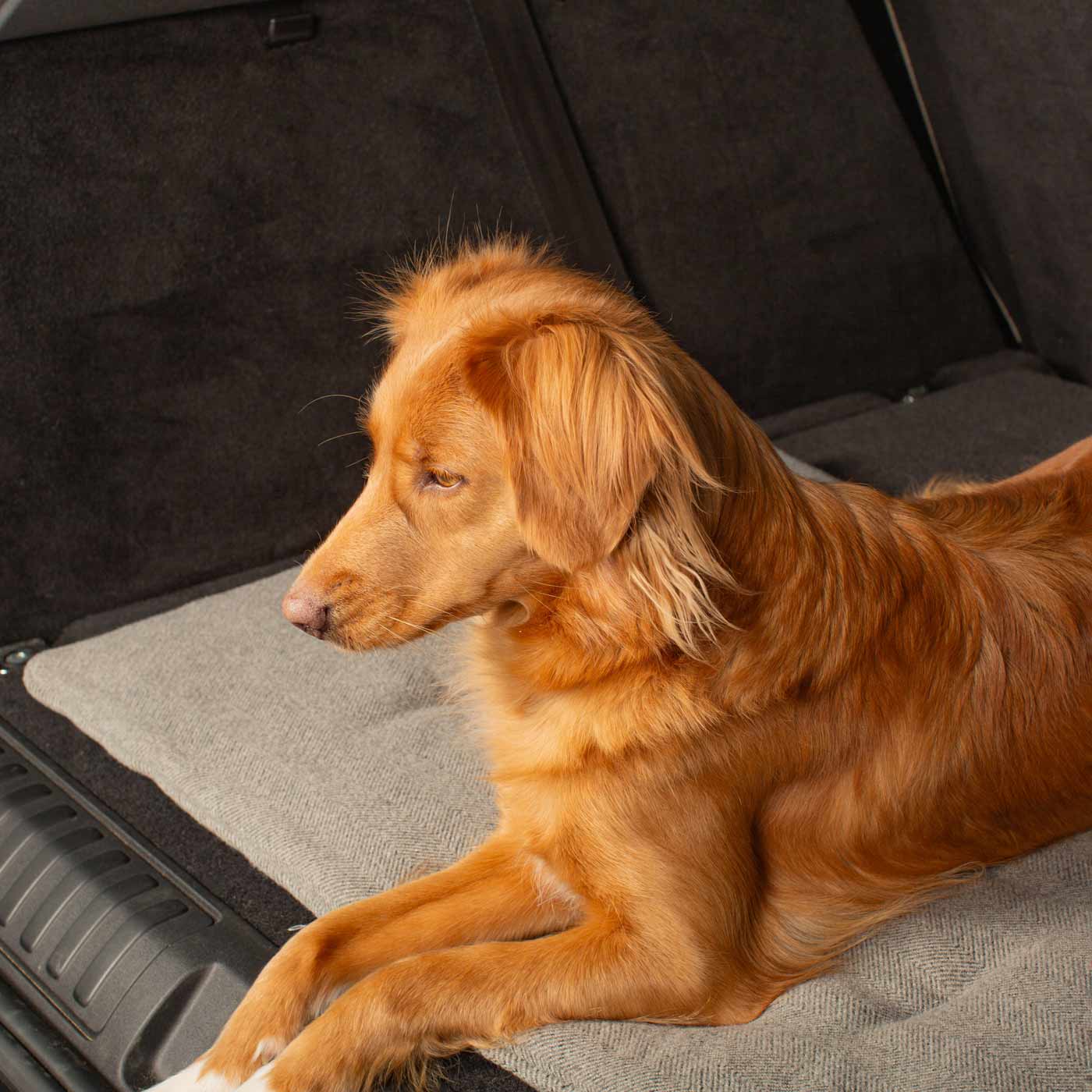 Embark on the perfect pet travel with our luxury Travel Mat in Pewter Herringbone. Featuring a Carry handle for on the move once Rolled up for easy storage, can be used as a seat cover, boot mat or travel bed! Available now at Lords & Labradors US