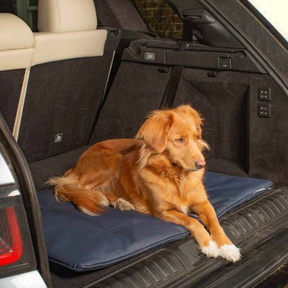 Embark on the perfect pet travel with our luxury Travel Mat in Rhino Pacific. Featuring a Carry handle for on the move once Rolled up for easy storage, can be used as a seat cover, boot mat or travel bed! Available now at Lords & Labradors US