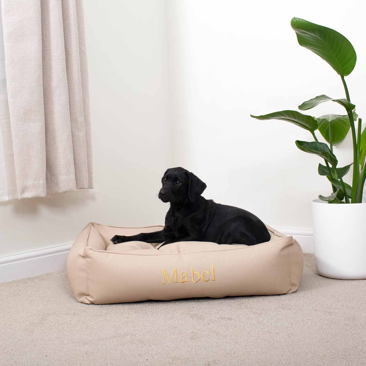 Luxury Handmade Box Bed in Rhino Tough Desert Faux Leather, in Sand, Perfect For Your Pets Nap Time! Available To Personalize at Lords & Labradors US