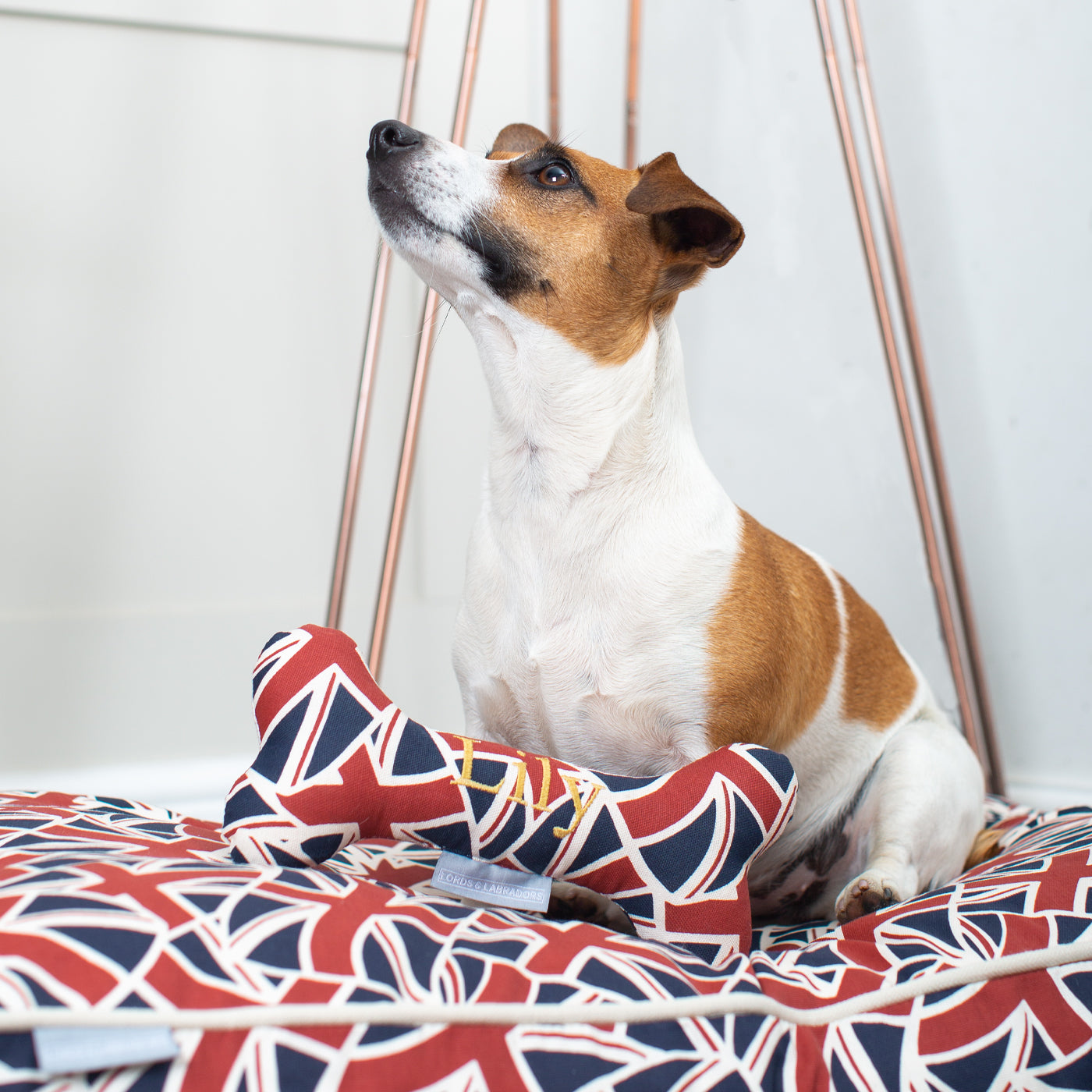 Discover The Perfect Bone For Dogs, Luxury Dog Bone Toy In Union Jack, Available To Personalize Now at Lords & Labradors US