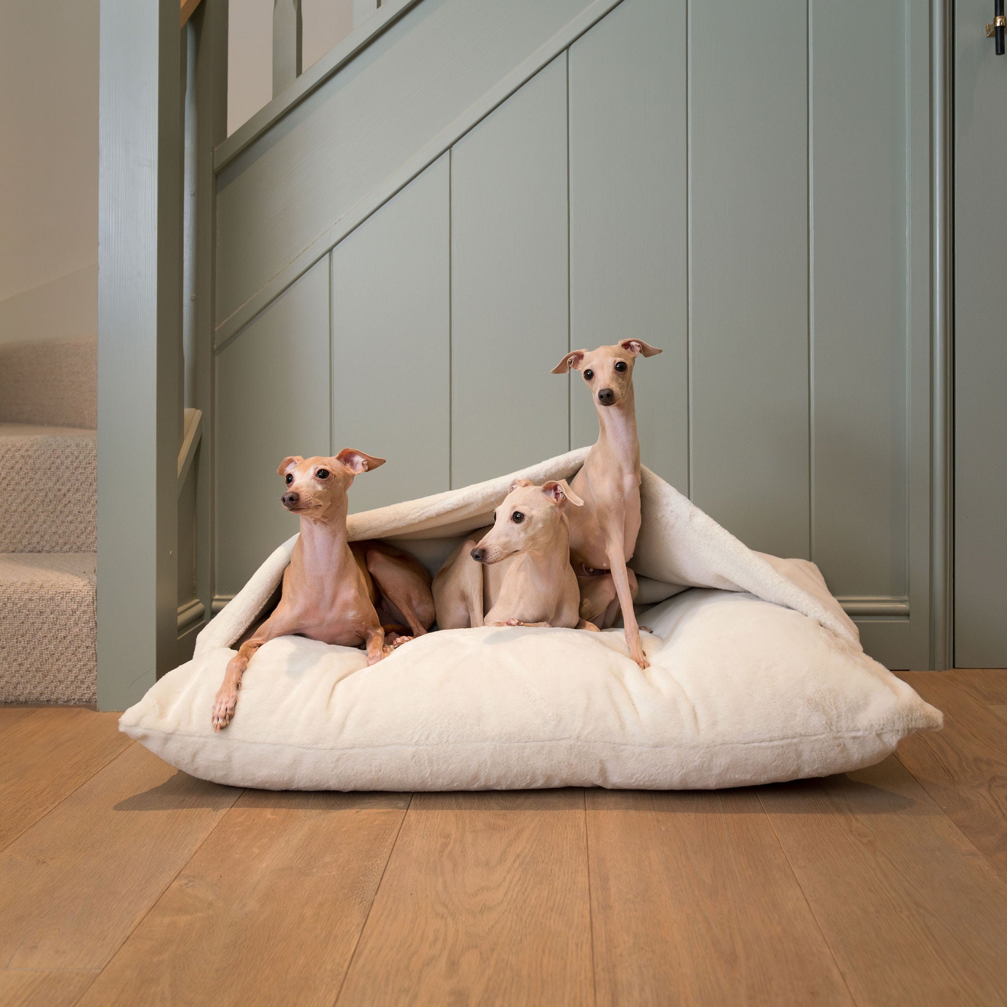 Lord Burrows Sleepy Burrows Bed in Faux Fur | Luxury Dog Beds | Lords & Labradors US ...