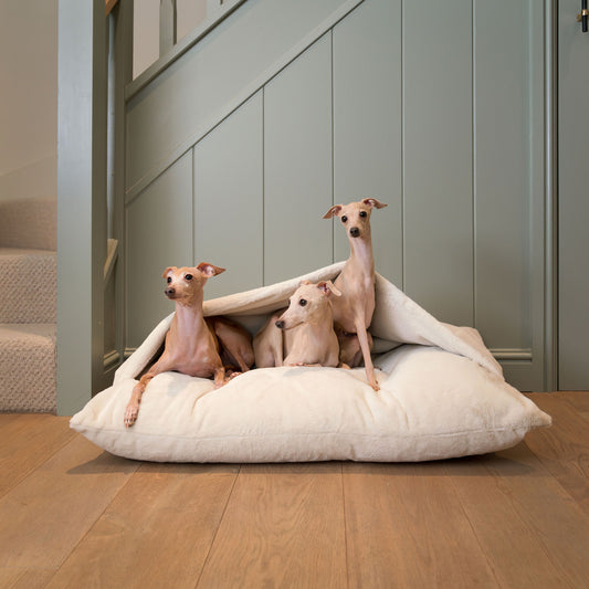 Discover The Perfect Burrow For Your Pet, Our Stunning Sleepy Burrow Dog Beds In Calming Anti Anxiety Cream Faux Fur, Is The Perfect Bed Choice For Your Pet, Available Now at Lords & Labradors US