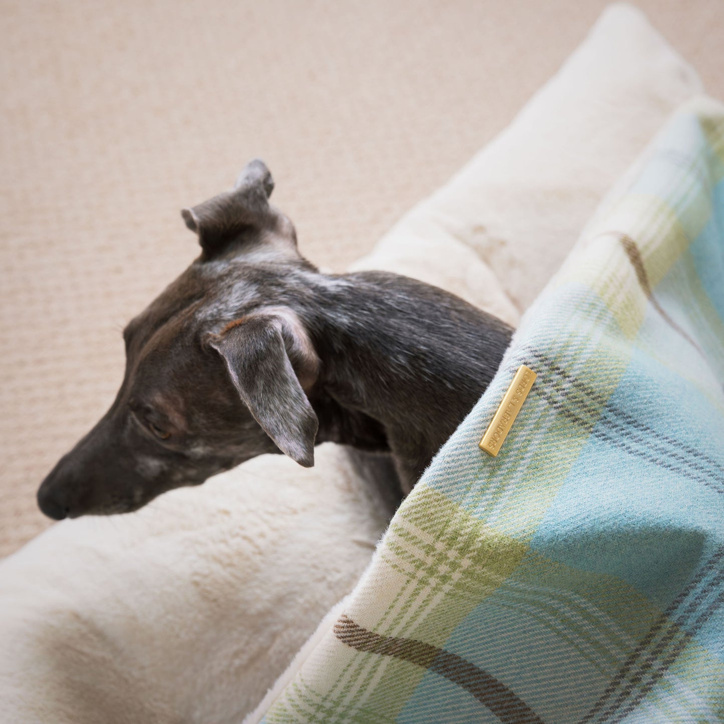 Discover The Perfect Burrow For Your Pet, Our Stunning Sleepy Burrow Dog Beds In Duck Egg Tweed Is The Perfect Bed Choice For Your Pet, Available Now at Lords & Labradors US