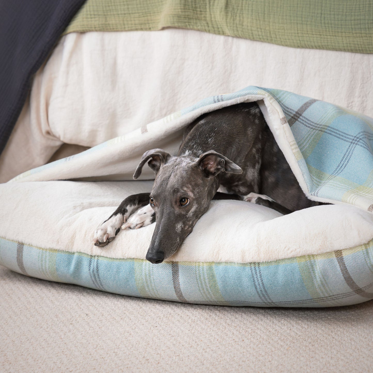 Discover The Perfect Burrow For Your Pet, Our Stunning Sleepy Burrow Dog Beds In Duck Egg Tweed Is The Perfect Bed Choice For Your Pet, Available Now at Lords & Labradors US