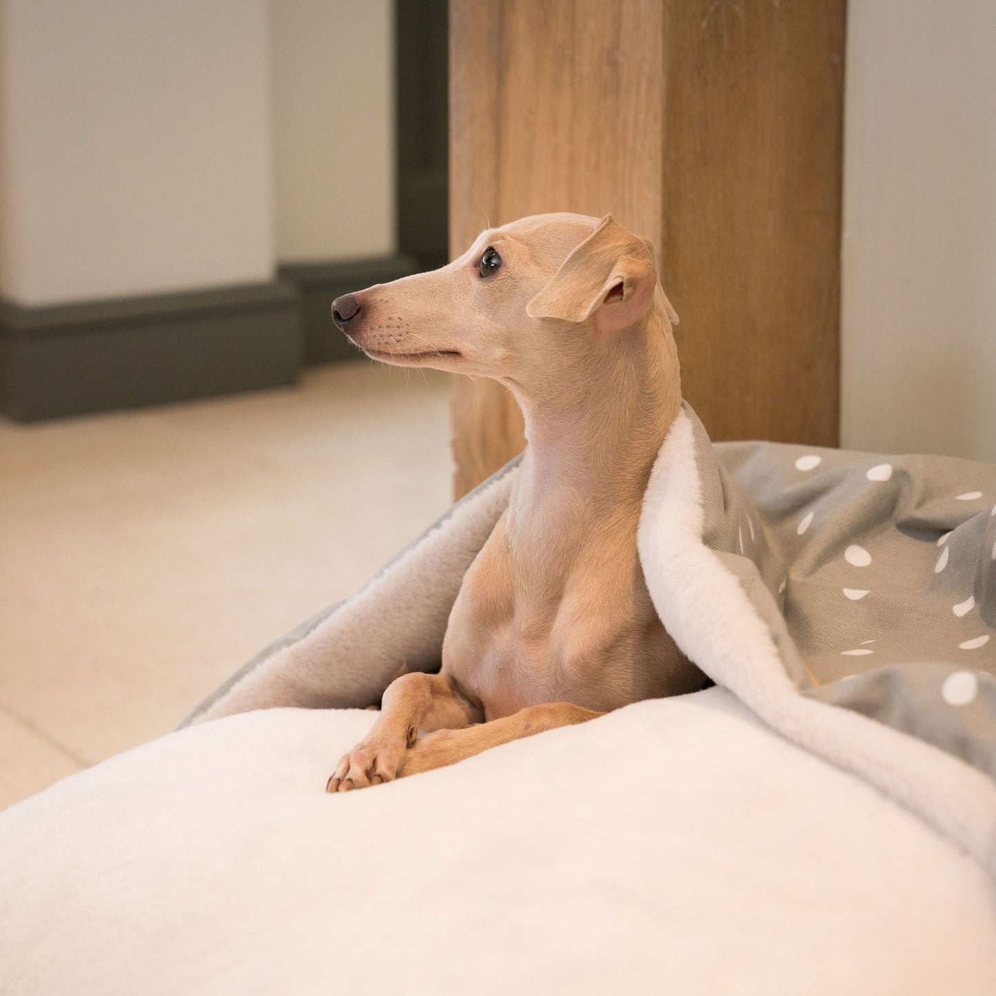 Discover The Perfect Burrow For Your Pet, Our Stunning Sleepy Burrow Dog Beds In Grey Spot, Is The Perfect Bed Choice For Your Pet, Available Now at Lords & Labradors US