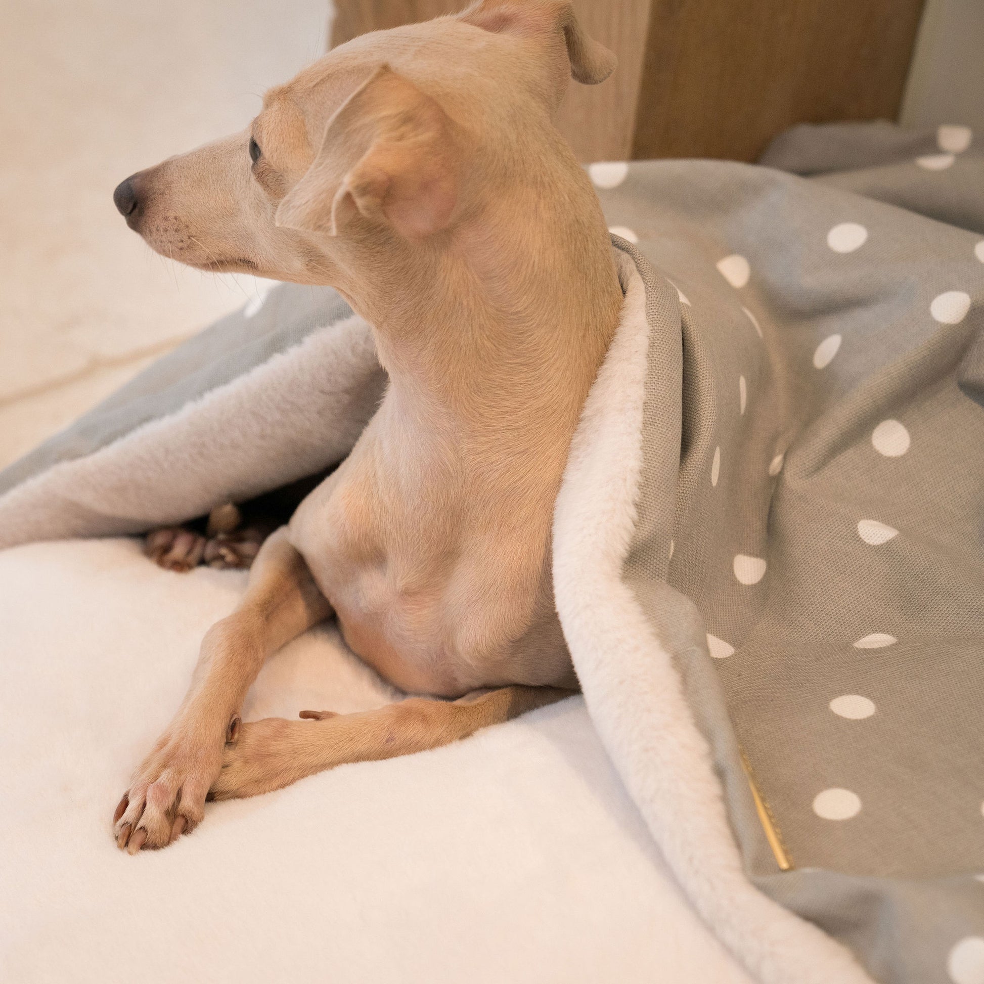 Discover The Perfect Burrow For Your Pet, Our Stunning Sleepy Burrow Dog Beds In Grey Spot, Is The Perfect Bed Choice For Your Pet, Available Now at Lords & Labradors US