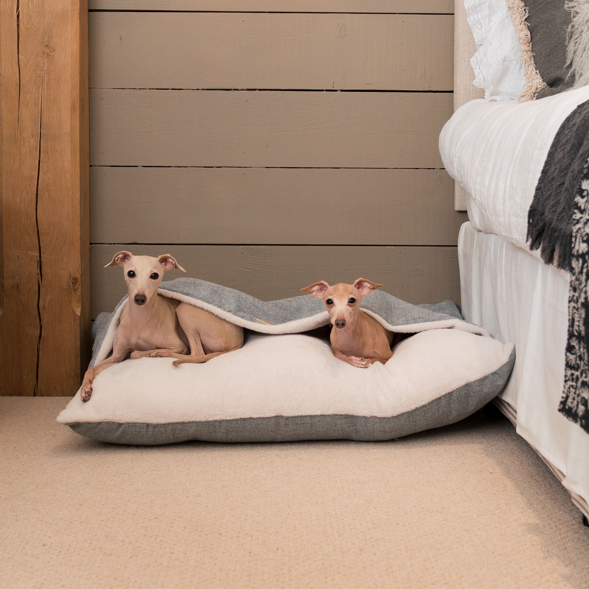 Lord Burrows Inchmurrin Sleepy Burrows In Iceberg | Hooded Dog Bed | Lords ...