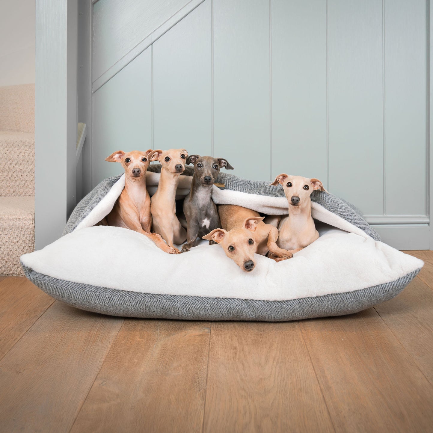 Discover The Perfect Burrow For Your Pet, Our Stunning Sleepy Burrow Dog Beds In Pewter Herringbone Is The Perfect Bed Choice For Your Pet, Available Now at Lords & Labradors US