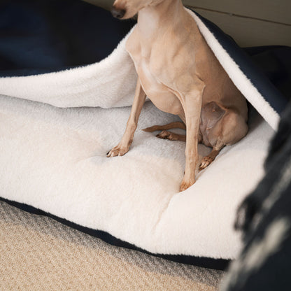 Discover The Perfect Burrow For Your Pet, Our Stunning Sleepy Burrow Dog Beds In Pacific Rhino Faux Leather Is The Perfect Bed Choice For Your Pet, Available Now at Lords & Labradors US