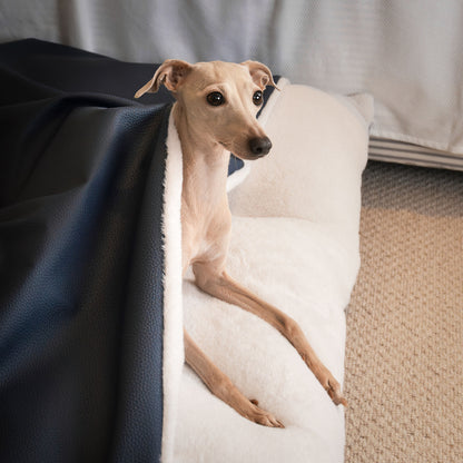 Discover The Perfect Burrow For Your Pet, Our Stunning Sleepy Burrow Dog Beds In Pacific Rhino Faux Leather Is The Perfect Bed Choice For Your Pet, Available Now at Lords & Labradors US