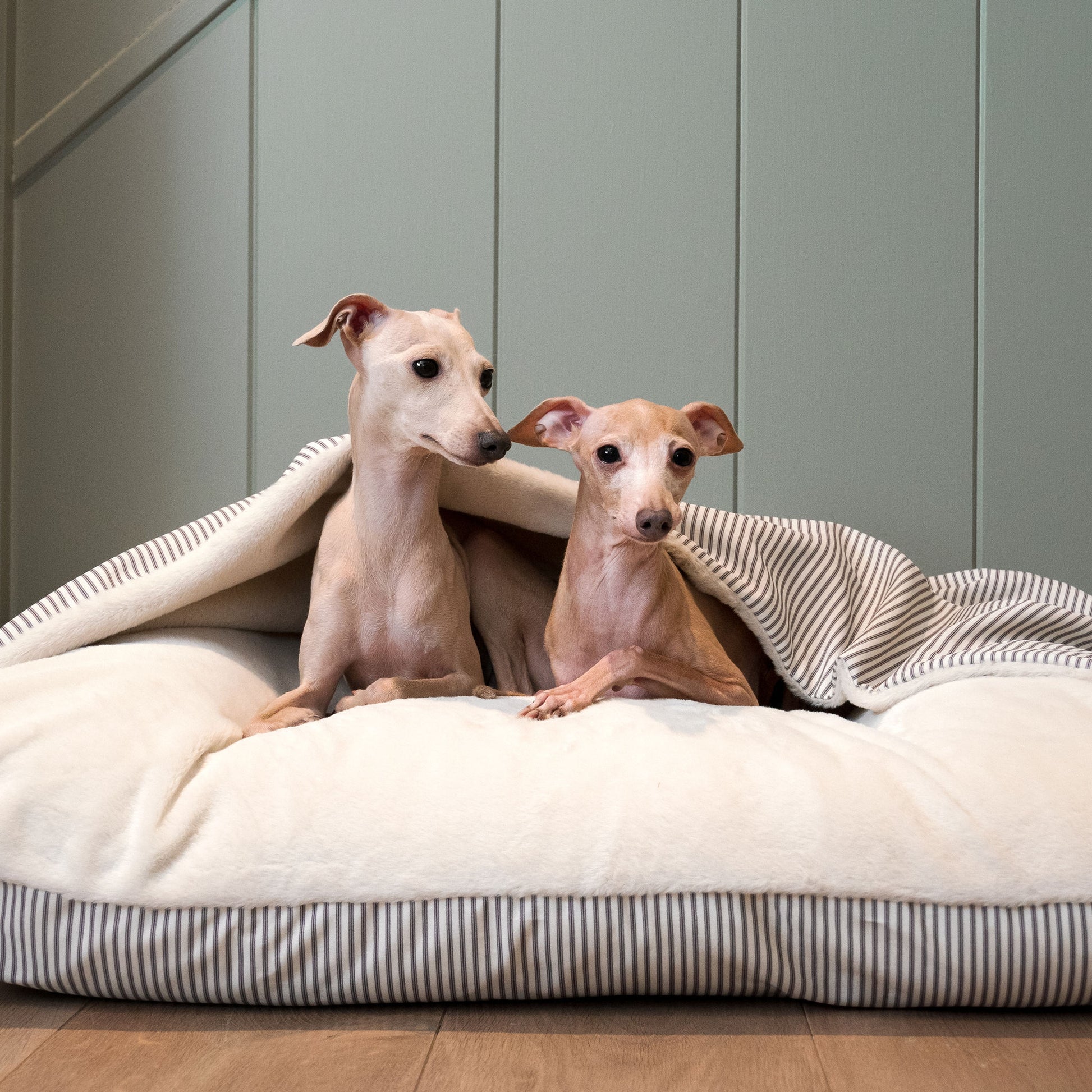 Discover The Perfect Burrow For Your Pet, Our Stunning Sleepy Burrow Dog Beds In Regency Stripe, Is The Perfect Bed Choice For Your Pet, Available Now at Lords & Labradors US