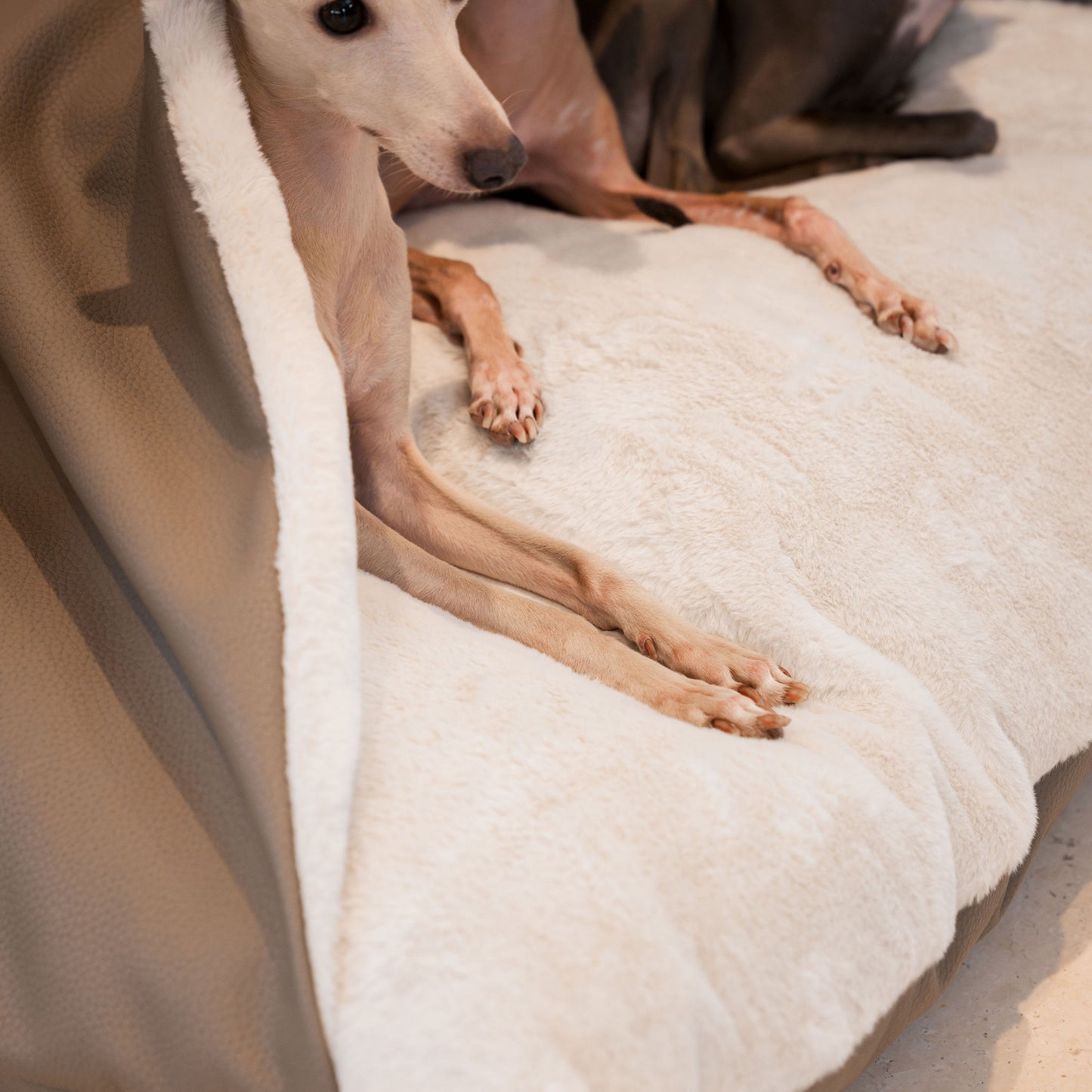 Discover The Perfect Burrow For Your Pet, Our Stunning Sleepy Burrow Dog Beds In Rhino Camel, Is The Perfect Bed Choice For Your Pet, Available Now at Lords & Labradors US