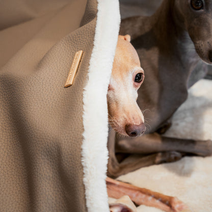 Discover The Perfect Burrow For Your Pet, Our Stunning Sleepy Burrow Dog Beds In Rhino Camel, Is The Perfect Bed Choice For Your Pet, Available Now at Lords & Labradors US