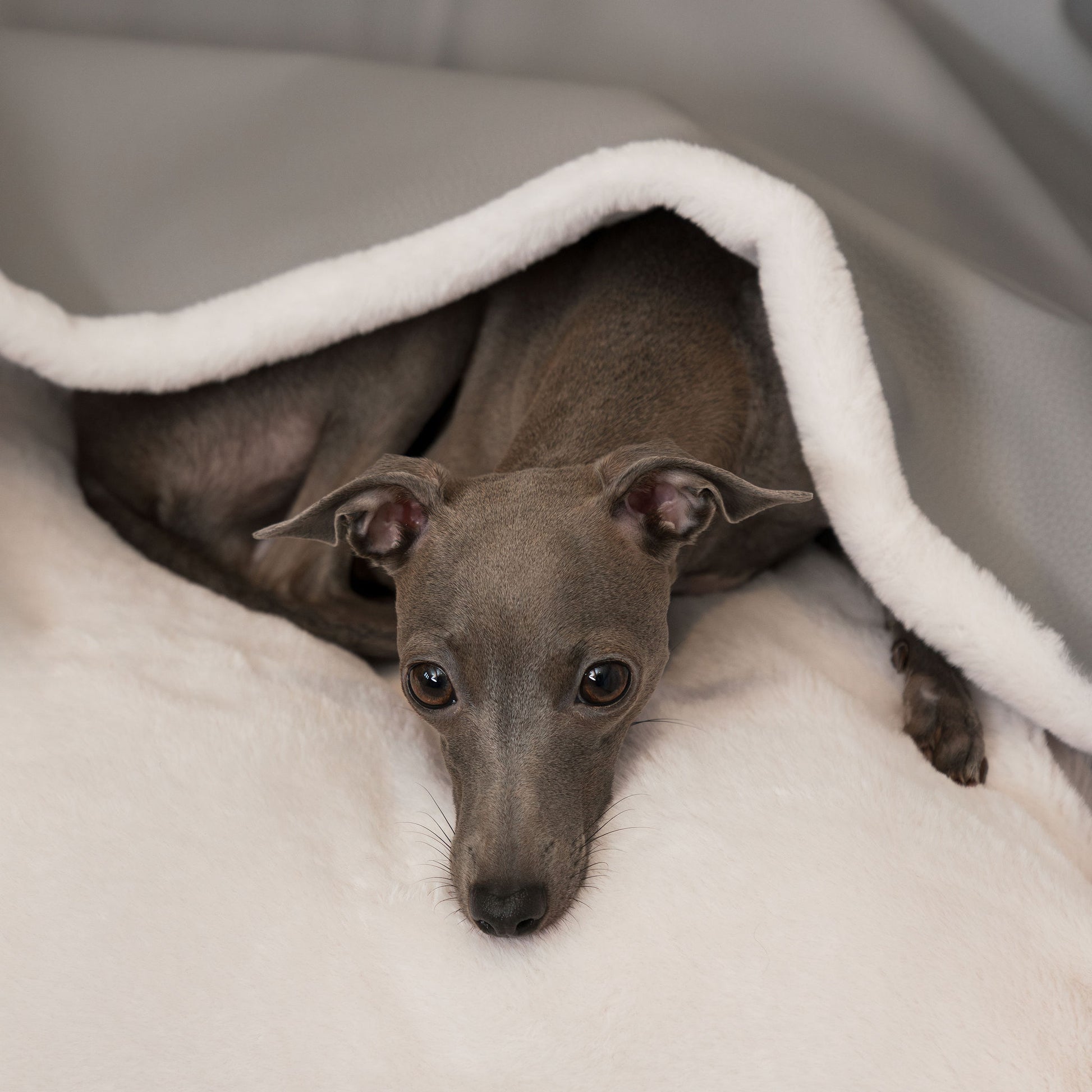 Discover The Perfect Burrow For Your Pet, Our Stunning Sleepy Burrow Dog Beds In Rhino Granite, Is The Perfect Bed Choice For Your Pet, Available Now at Lords & Labradors US