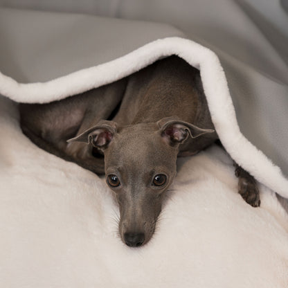 Discover The Perfect Burrow For Your Pet, Our Stunning Sleepy Burrow Dog Beds In Rhino Granite, Is The Perfect Bed Choice For Your Pet, Available Now at Lords & Labradors US