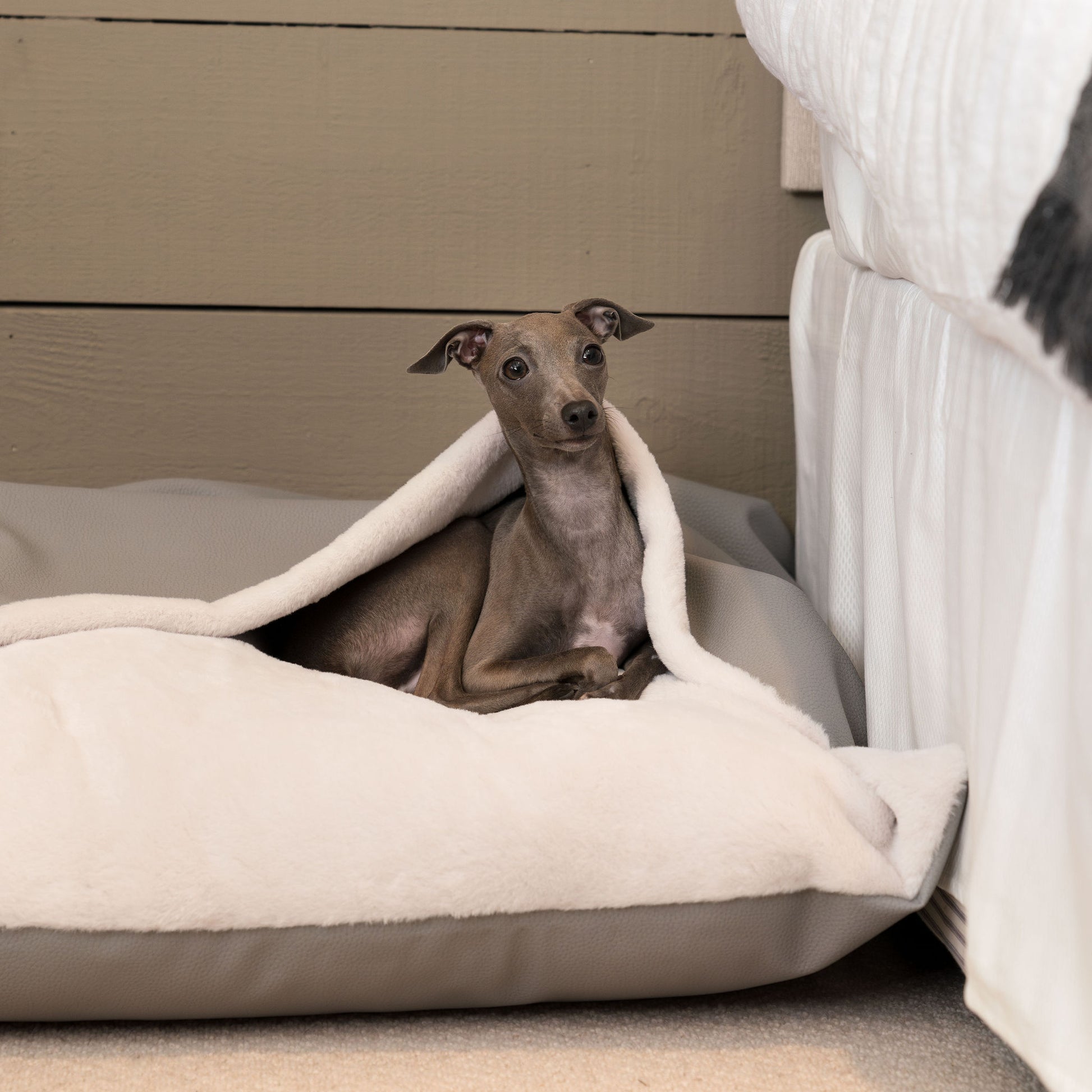 Discover The Perfect Burrow For Your Pet, Our Stunning Sleepy Burrow Dog Beds In Rhino Granite, Is The Perfect Bed Choice For Your Pet, Available Now at Lords & Labradors US