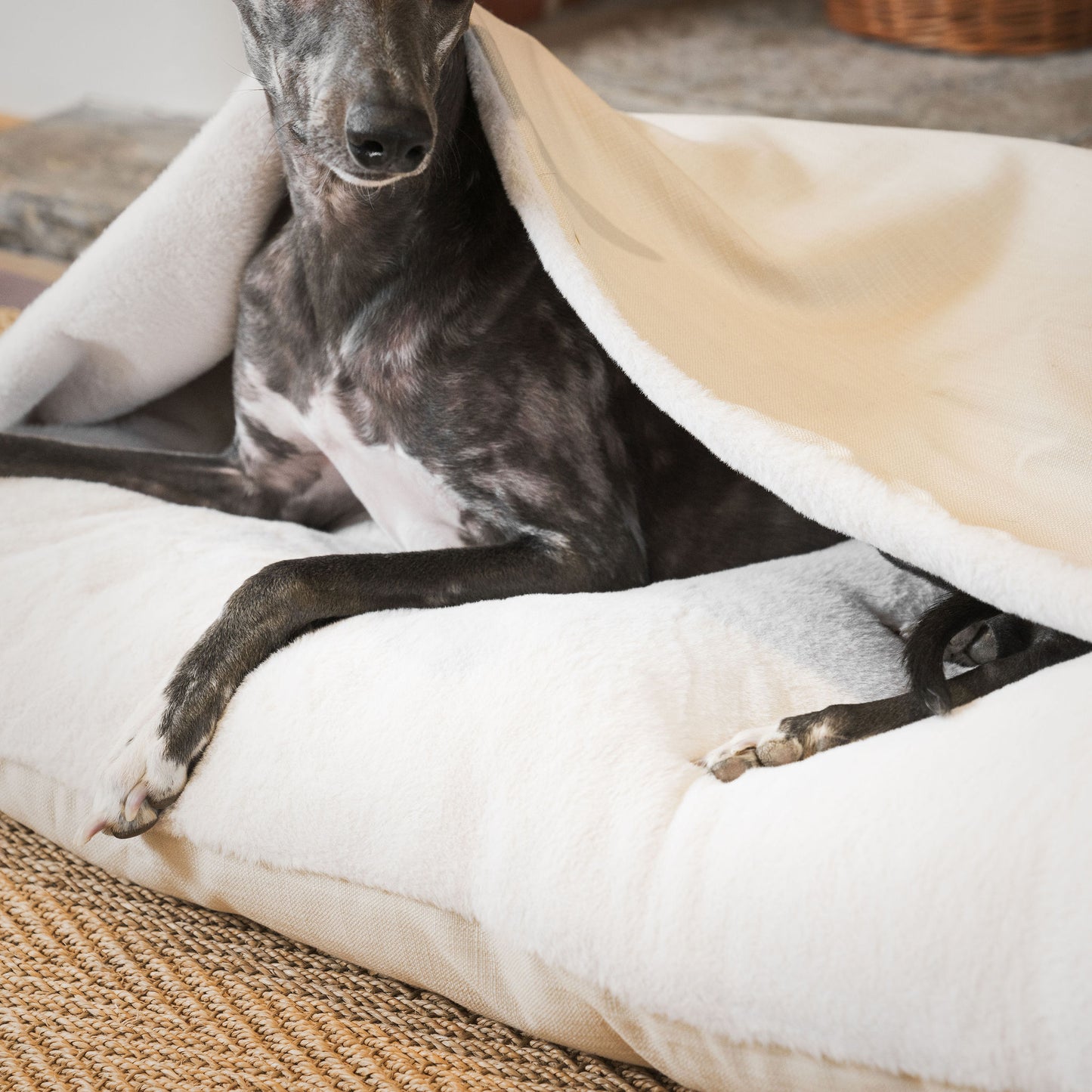 Discover The Perfect Burrow For Your Pet, Our Stunning Sleepy Burrow Dog Beds In Savanna Bone Is The Perfect Bed Choice For Your Pet, Available Now at Lords & Labradors US