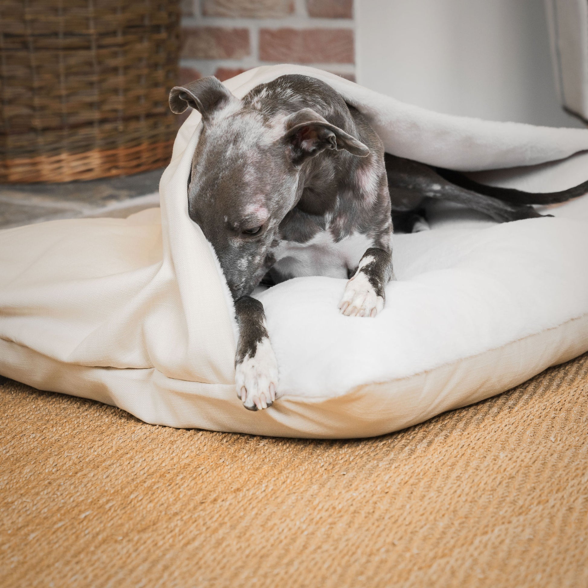 Discover The Perfect Burrow For Your Pet, Our Stunning Sleepy Burrow Dog Beds In Savanna Bone Is The Perfect Bed Choice For Your Pet, Available Now at Lords & Labradors US