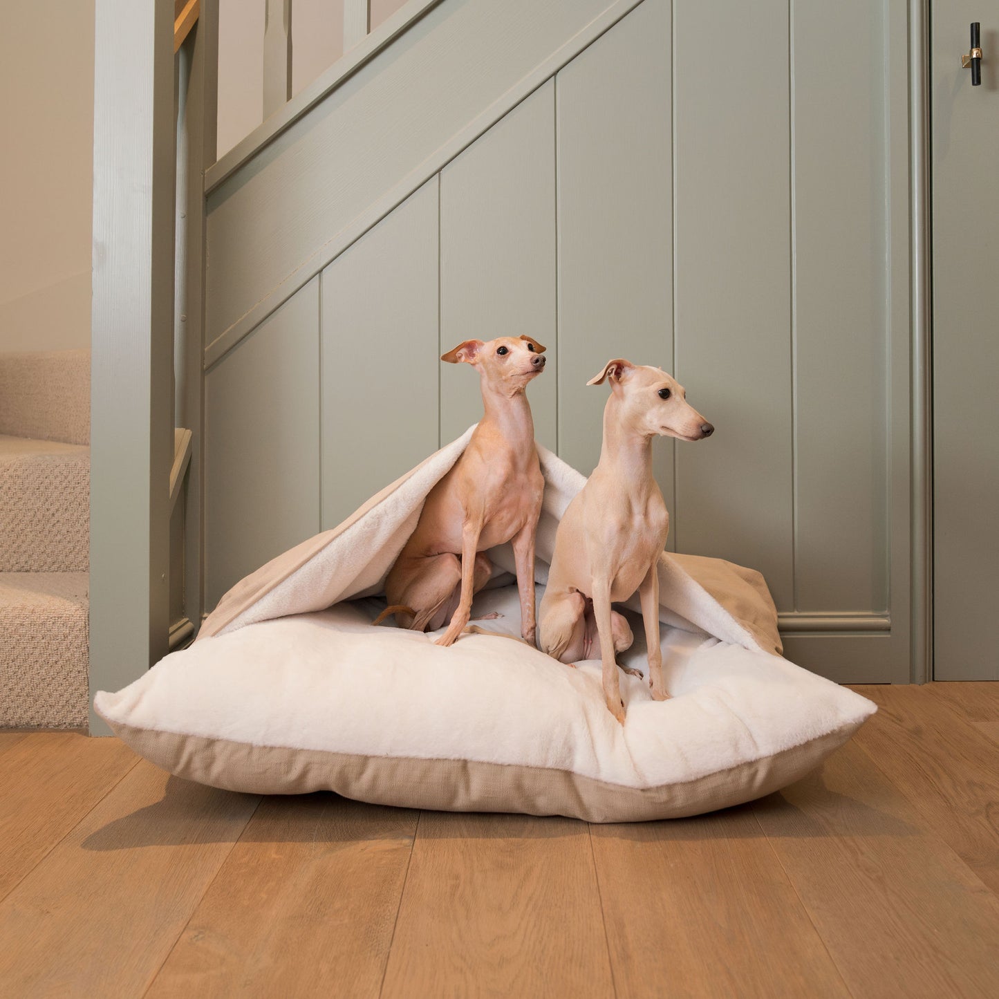 Luxury Savanna Sleepy Burrow, The Perfect bed For a Pet to Burrow. Available To Personalize In Stunning Savanna Oatmeal, Here at Lords & Labradors US