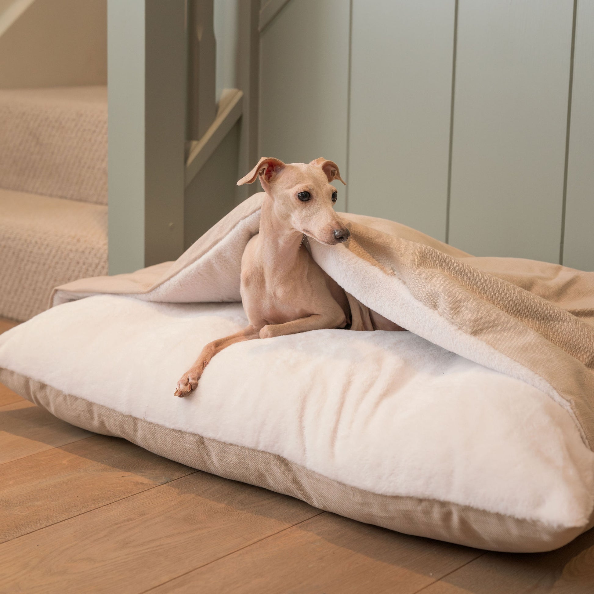 Luxury Savanna Sleepy Burrow, The Perfect bed For a Pet to Burrow. Available To Personalize In Stunning Savanna Oatmeal, Here at Lords & Labradors US