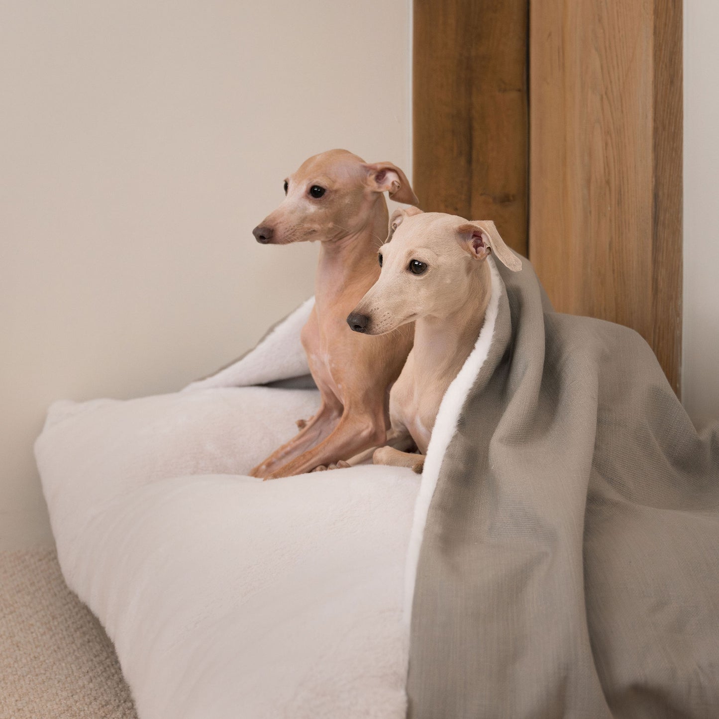 Luxury Savanna Sleepy Burrow, The Perfect bed For a Pet to Burrow. Available To Personalize In Stunning Savanna Stone, Here at Lords & Labradors US