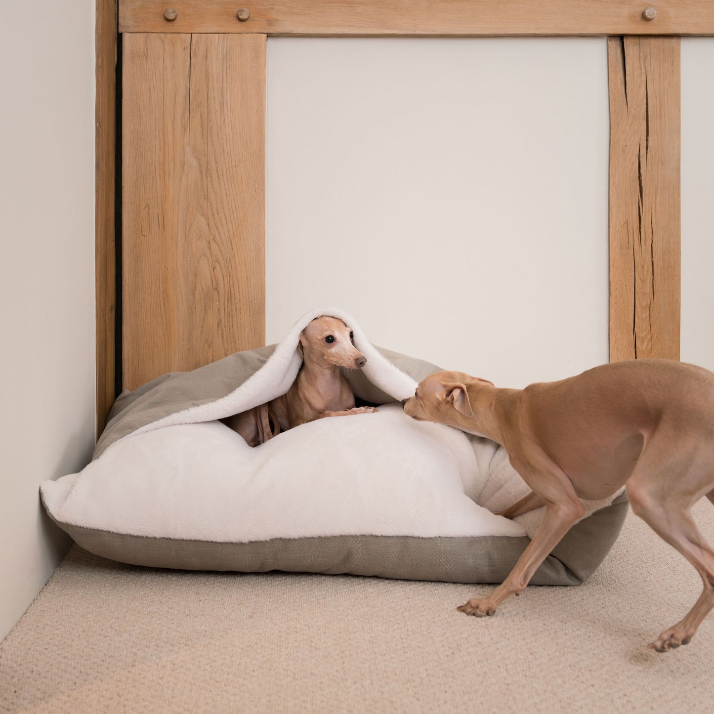 Luxury Savanna Sleepy Burrow, The Perfect bed For a Pet to Burrow. Available To Personalize In Stunning Savanna Stone, Here at Lords & Labradors US