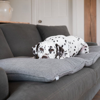Discover Our Luxury Inchmurrin Sofa Topper, The Perfect Sofa Protector For Pets, In Stunning Grey Ground Available Now at Lords & Labradors