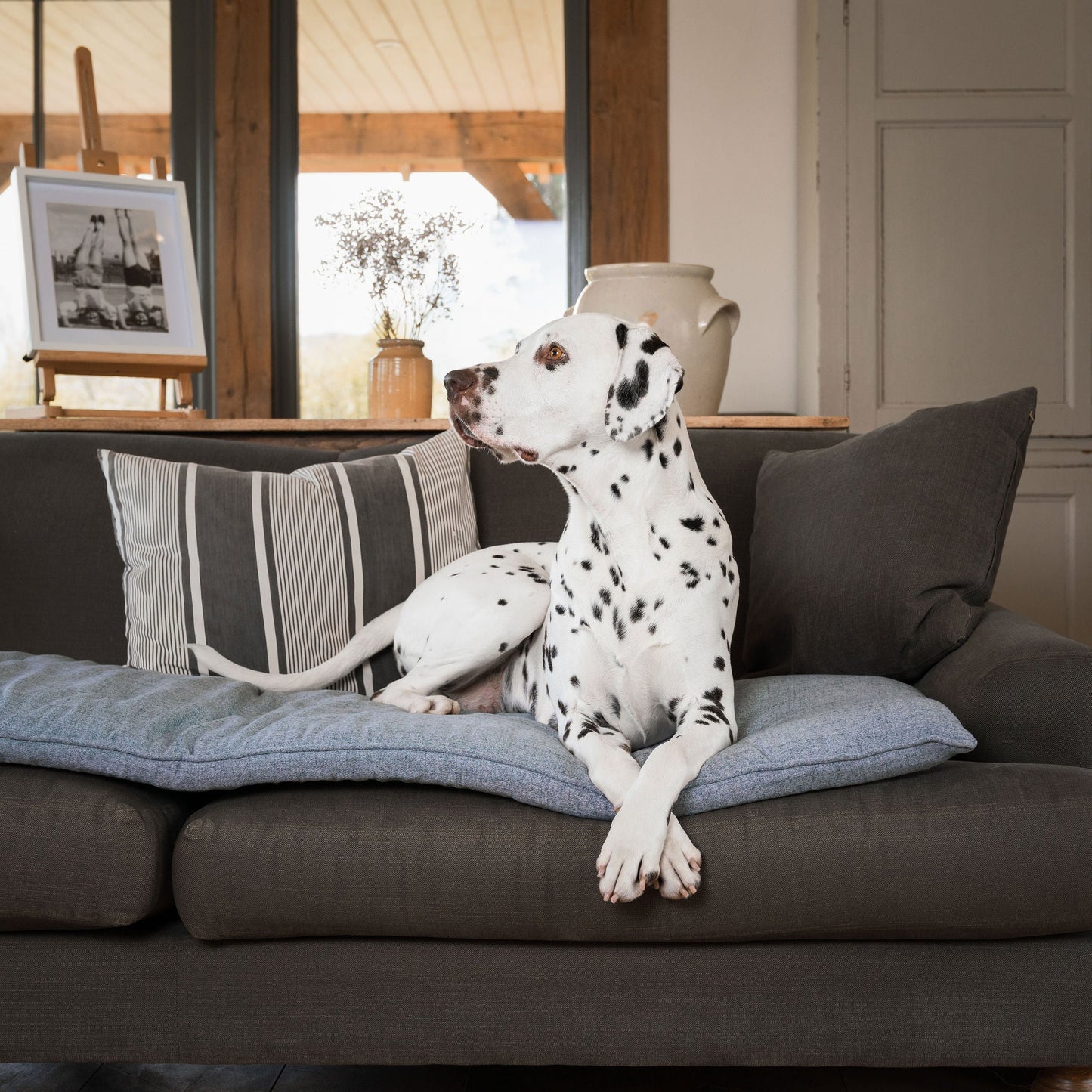 Discover Our Luxury Inchmurrin Sofa Topper, The Perfect Sofa Protector For Pets, In Stunning Grey Iceberg Available Now at Lords & Labradors
