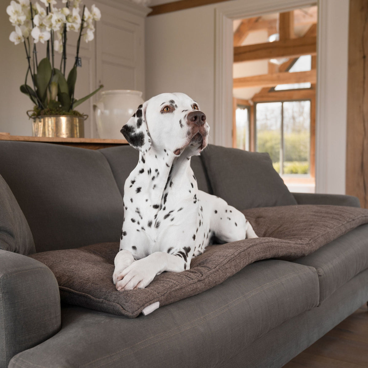 Inchmurrin Umber Couch Topper | Dog Couch Protectors