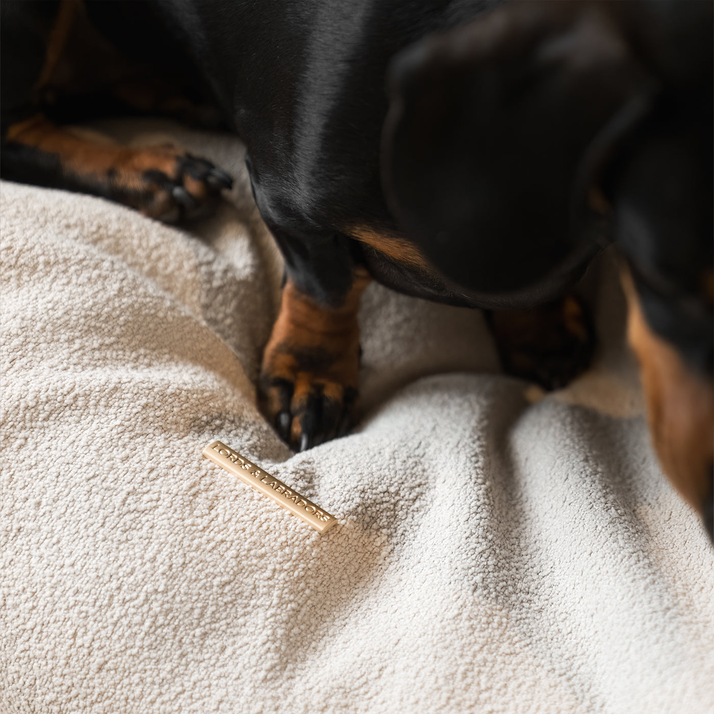 Luxury Dog Cushions & Beds, Squash 'Em in Alabaster, The Perfect Snuggly Cave For Dogs To Burrow! Available Now at Lords & Labradors US