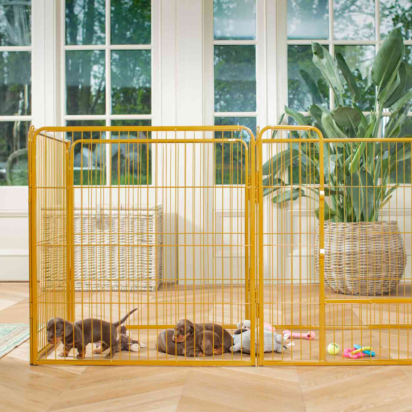 Ensure The Ultimate Puppy Safety with Our Heavy Duty 80cm High Gold Metal Play Pen, Crafted to Take Your Pet Right Through Maturity! Powder Coated to Be Extra Hardwearing! 6 panels that are 80cm high and attachments to connect to any cage. The modular system allows you to change the puppy pen shape with multiple layouts! Available To Now at Lords & Labradors US