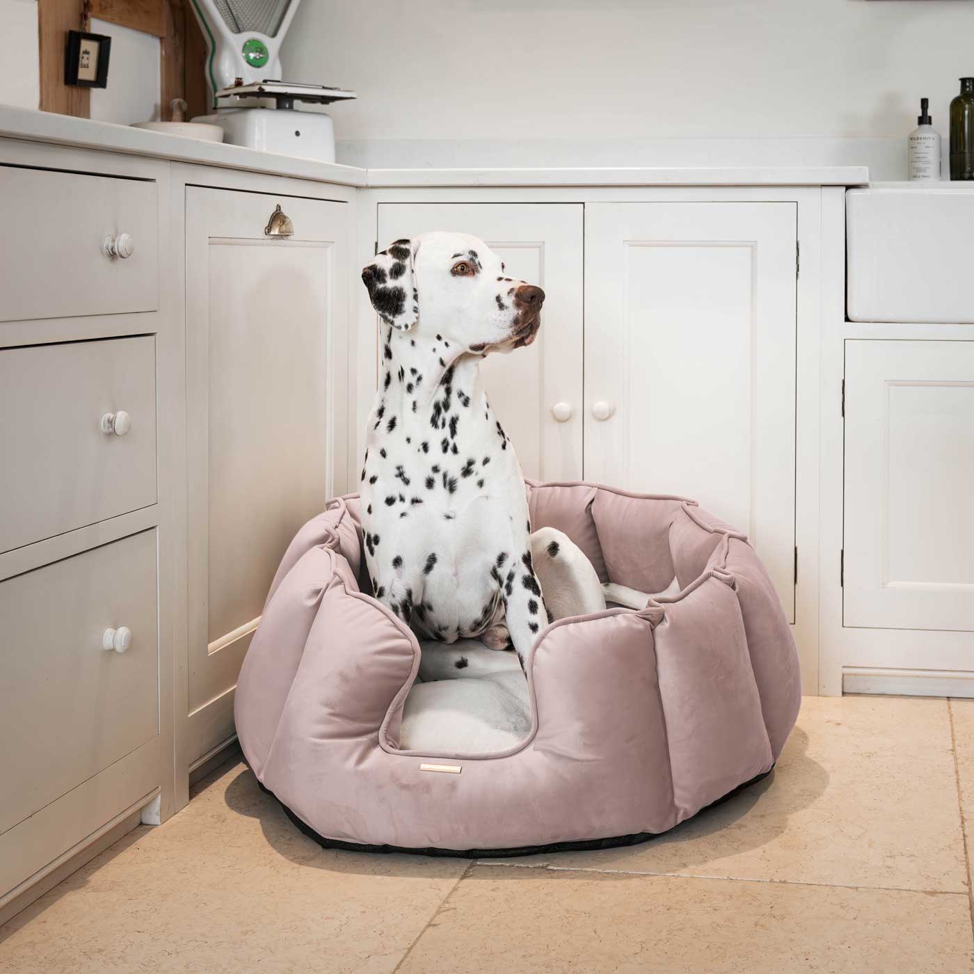 High Wall Dog Bed In Blossom Velvet By Lords & Labradors