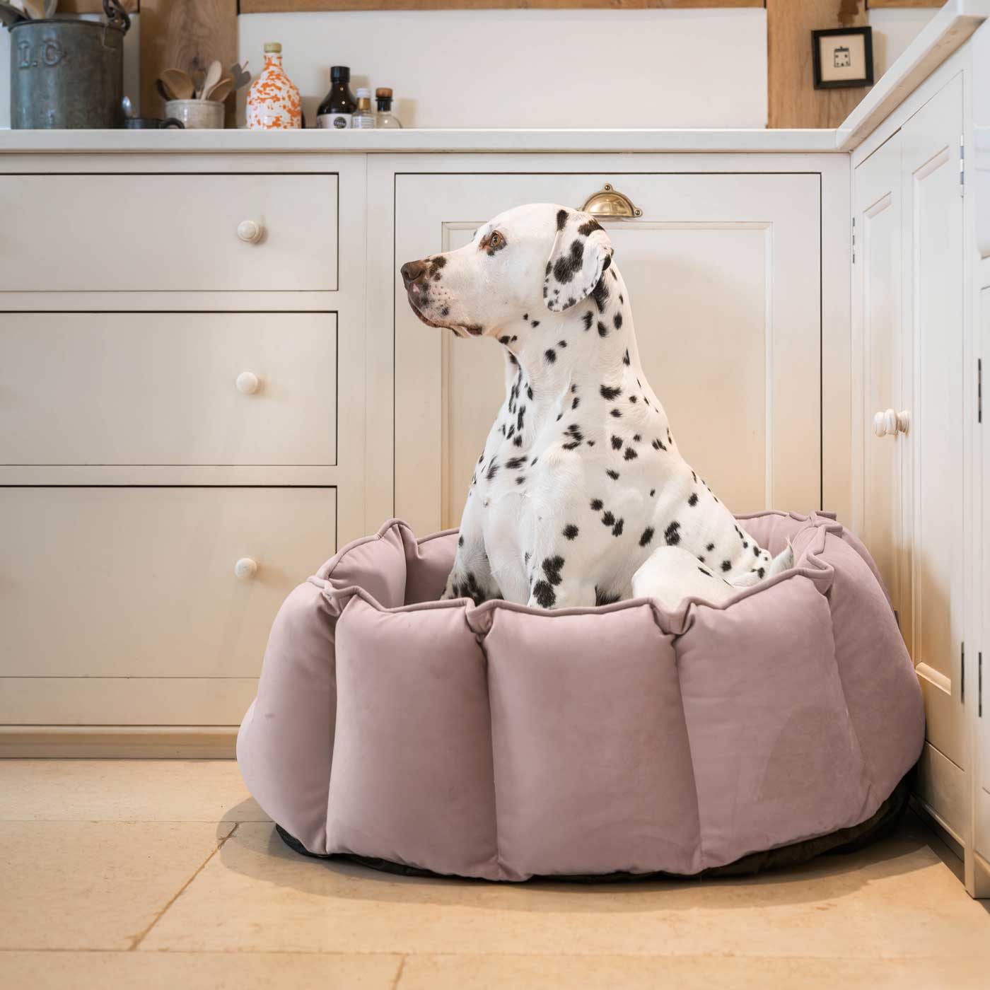 High Wall Dog Bed In Blossom Velvet By Lords & Labradors