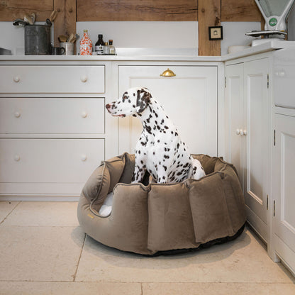 High Wall Dog Bed In Clay Velvet By Lords & Labradors