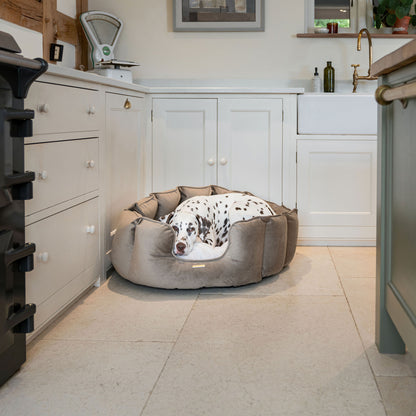 High Wall Dog Bed In Clay Velvet By Lords & Labradors