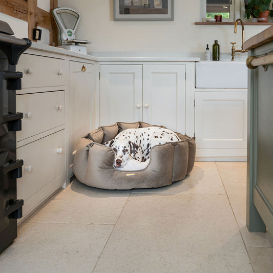 High Wall Dog Bed In Clay Velvet By Lords & Labradors