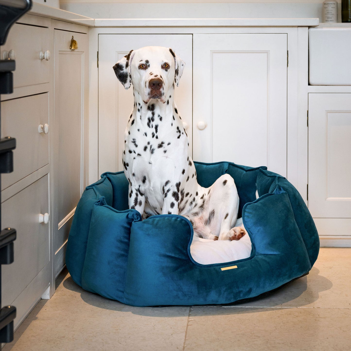 High Wall Dog Bed In Marine Velvet By Lords & Labradors