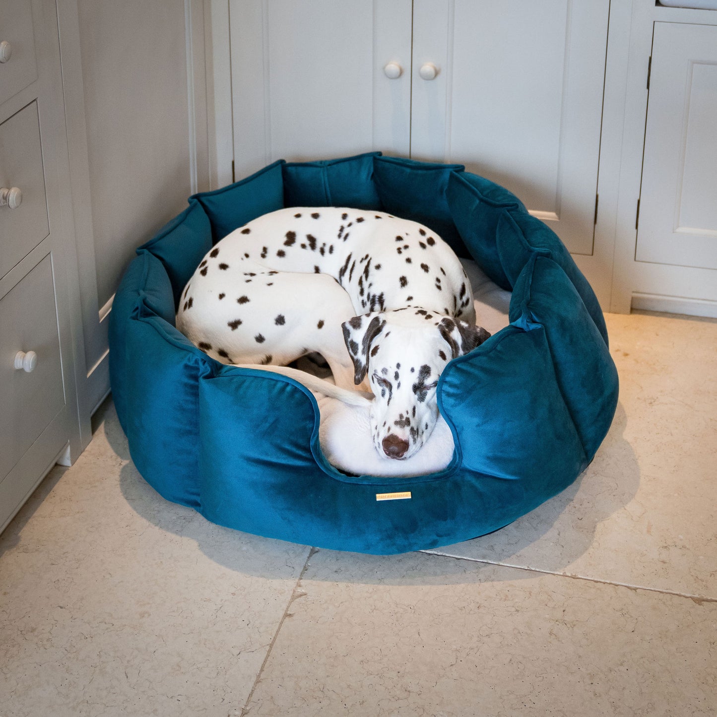 High Wall Dog Bed In Marine Velvet By Lords & Labradors