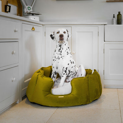 High Wall Dog Bed In Olive Velvet By Lords & Labradors