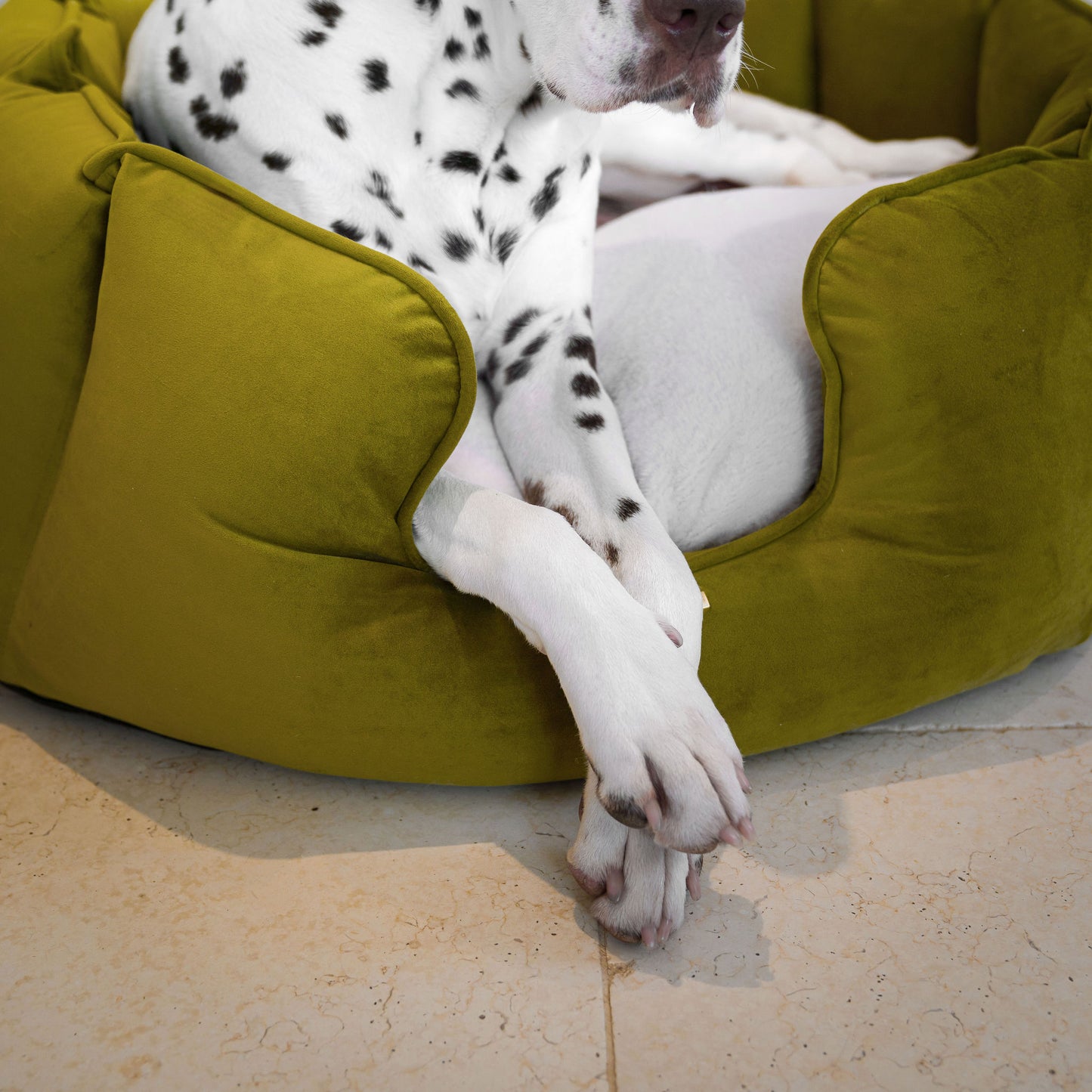 High Wall Dog Bed In Olive Velvet By Lords & Labradors