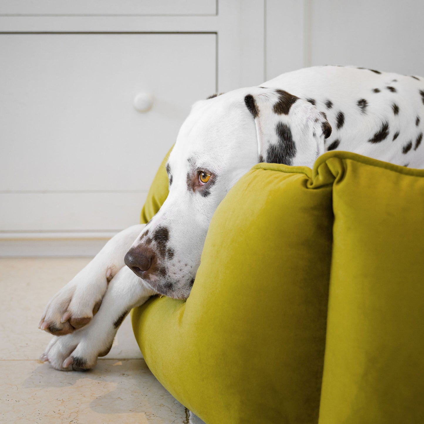 High Wall Dog Bed In Olive Velvet By Lords & Labradors