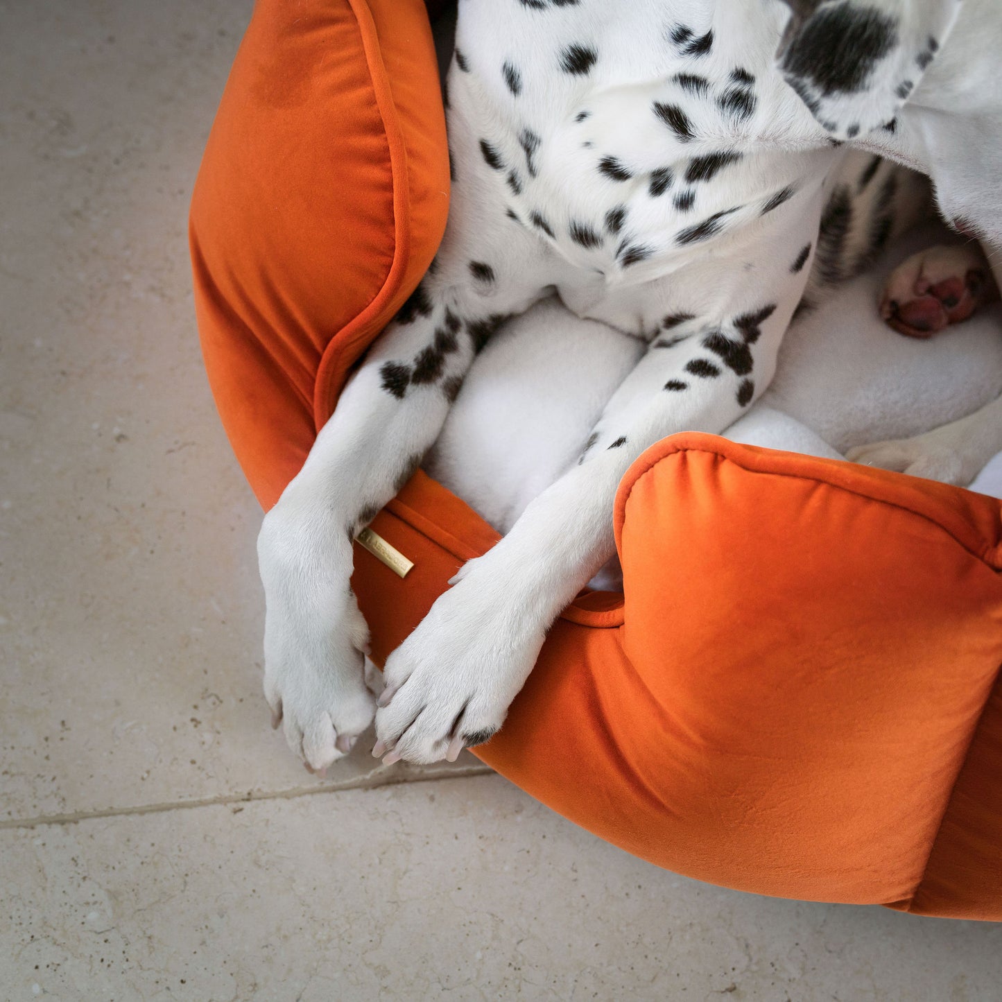 High Wall Dog Bed In Pumpkin Velvet By Lords & Labradors