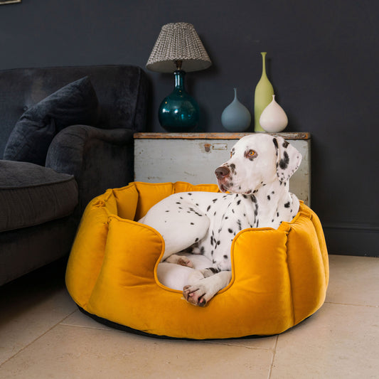 High Wall Dog Bed In Saffron Velvet By Lords & Labradors