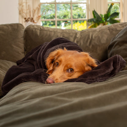 Dog & Puppy Blanket in Calming Anti-Anxiety Dusk Faux Fur by Lords & Labradors