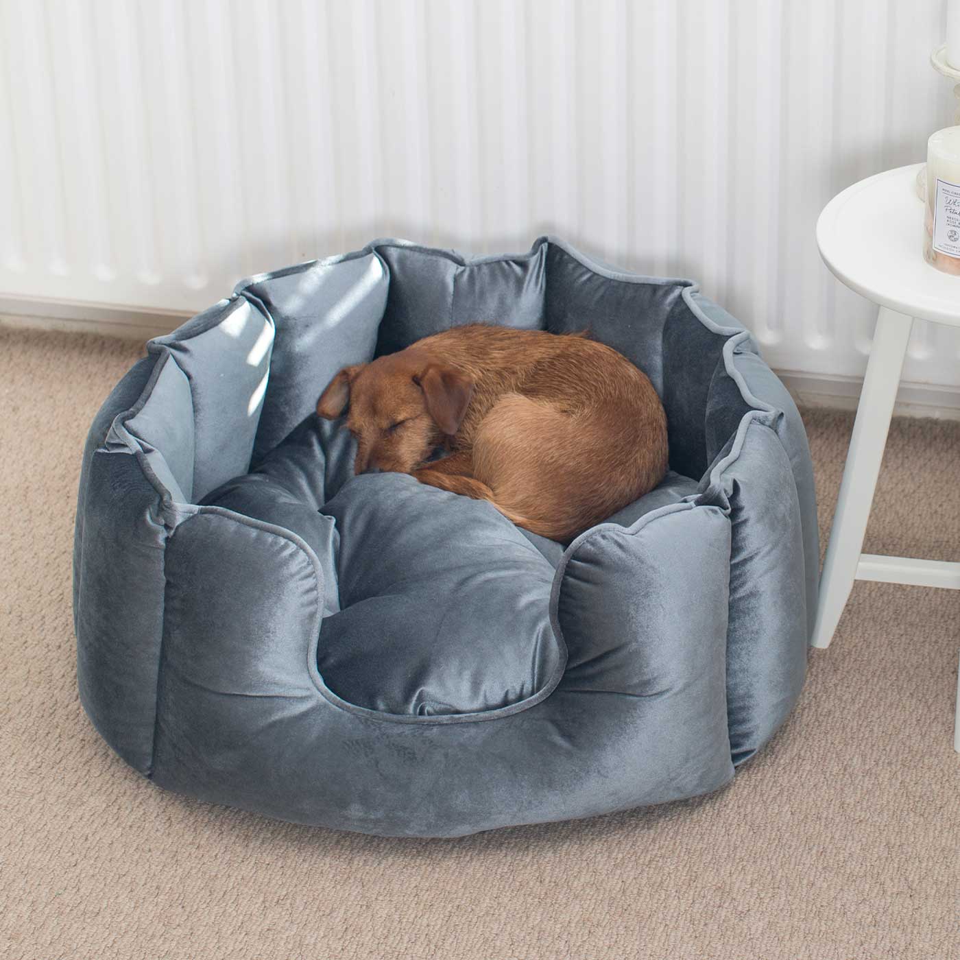 Discover Our Luxurious High Wall Velvet Bed For Dogs, Featuring inner pillow with plush teddy fleece on one side To Craft The Perfect Dogs Bed In Stunning Elephant Velvet! Available To Personalize Now at Lords & Labradors US