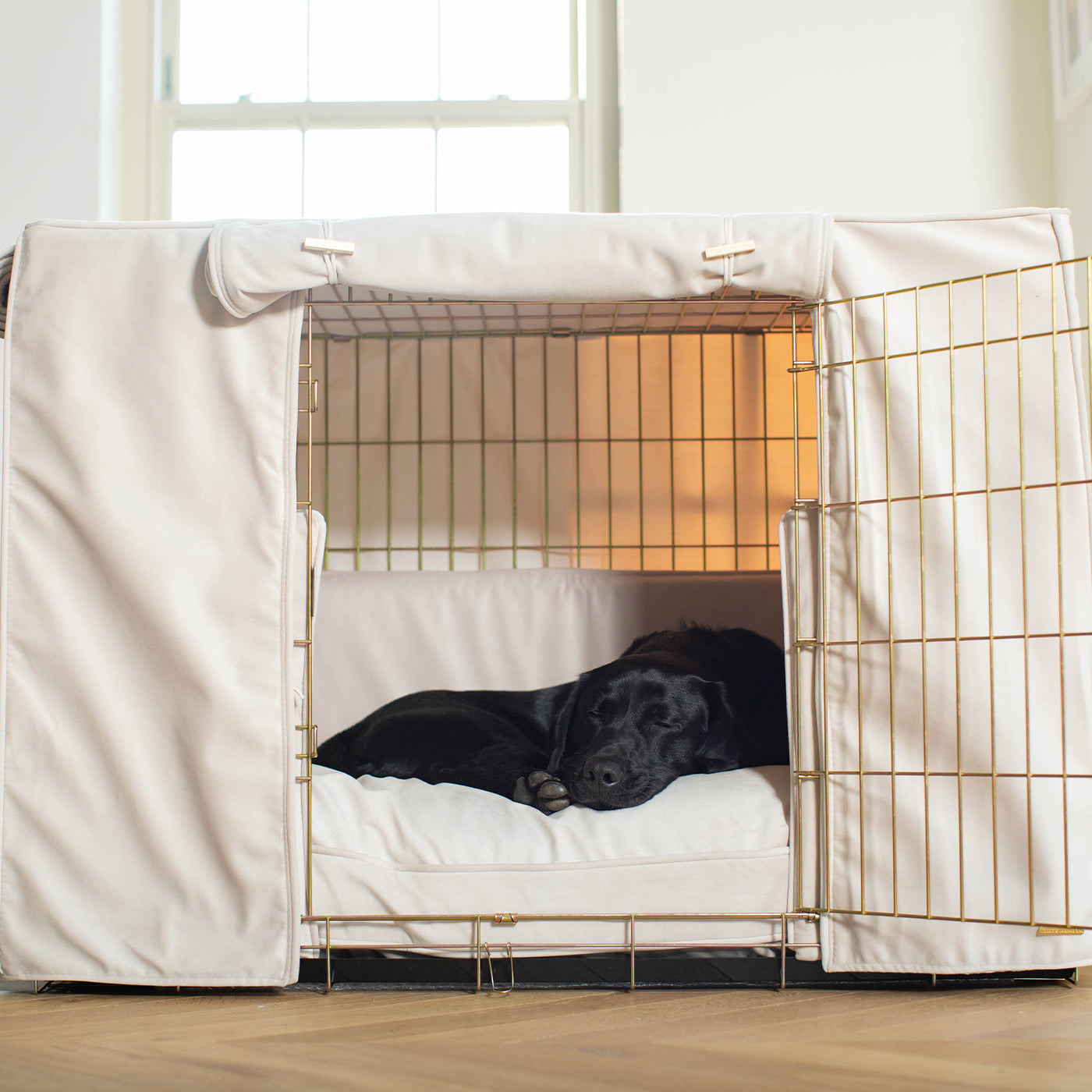 Dog Cage Set In Oyster Velvet by Lords & Labradors